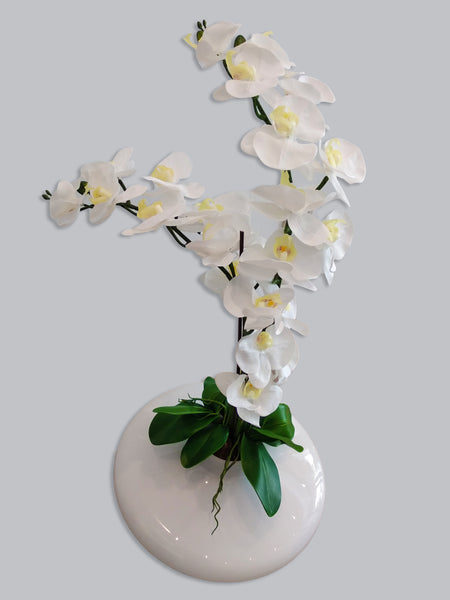 Vase Tommy Blanc