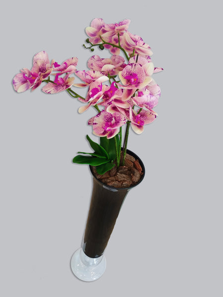 Vase Konin Noir