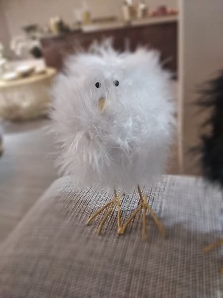 OISEAU AVEC DES PLUMES SUPER