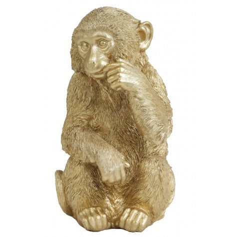 Le Singe pose Gold